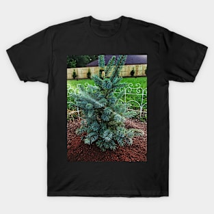 Little Blue Pine T-Shirt